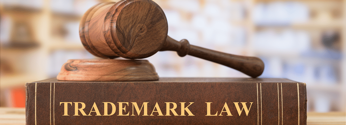 Trademark Law Book under Gavel stock photo
